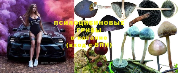 mdpv Абинск