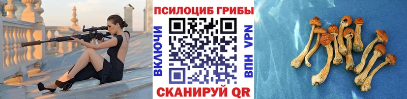 Псилоцибиновые грибы Psilocybine cubensis  купить наркотики цена  Ухта 